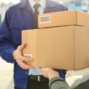  Parcel Delivery Service in India